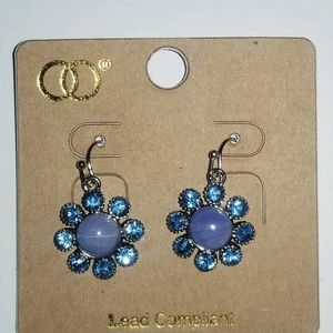 Ladies earrings
